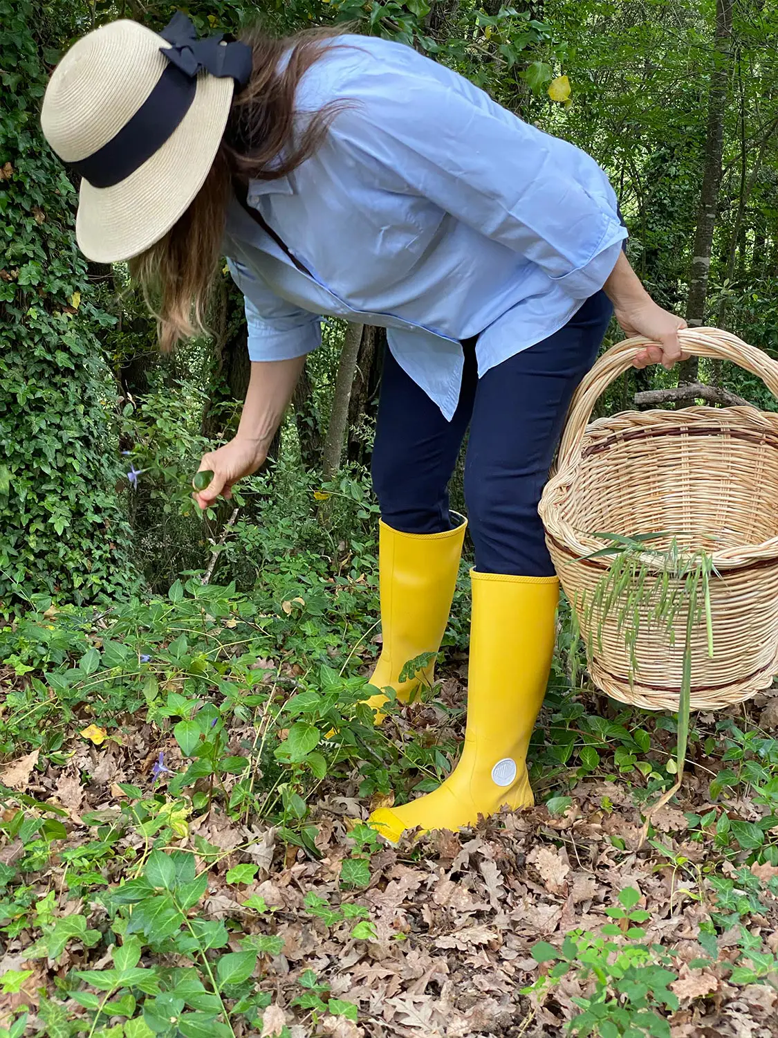 Azienda Agricola Il Cerreto