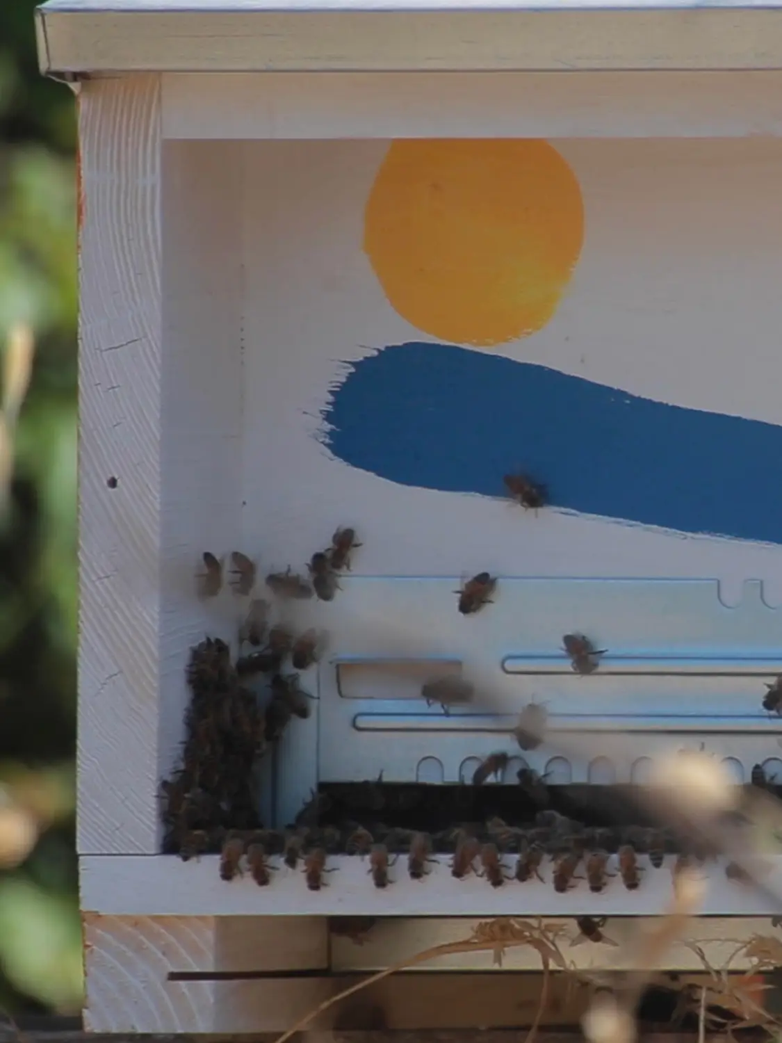 Azienda Agricola Il Cerreto