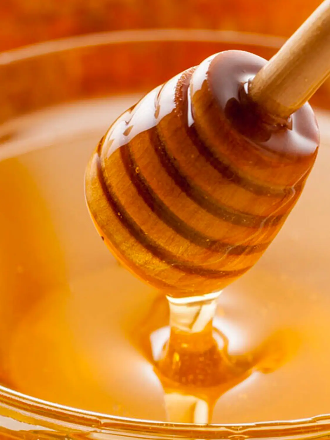 Azienda Agricola Il Cerreto