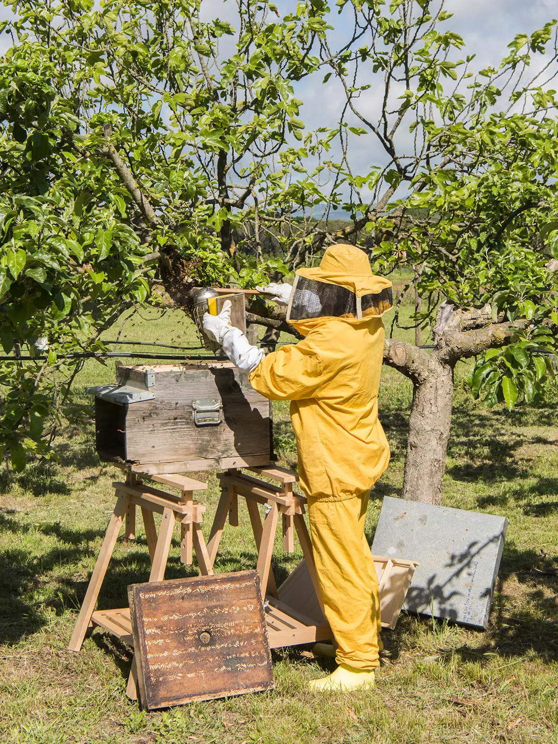 Azienda Agricola Il Cerreto