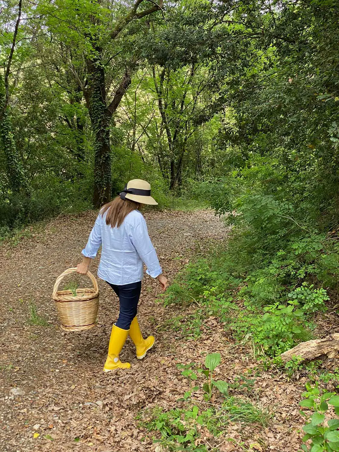 Bio Agriturismo Il Cerreto