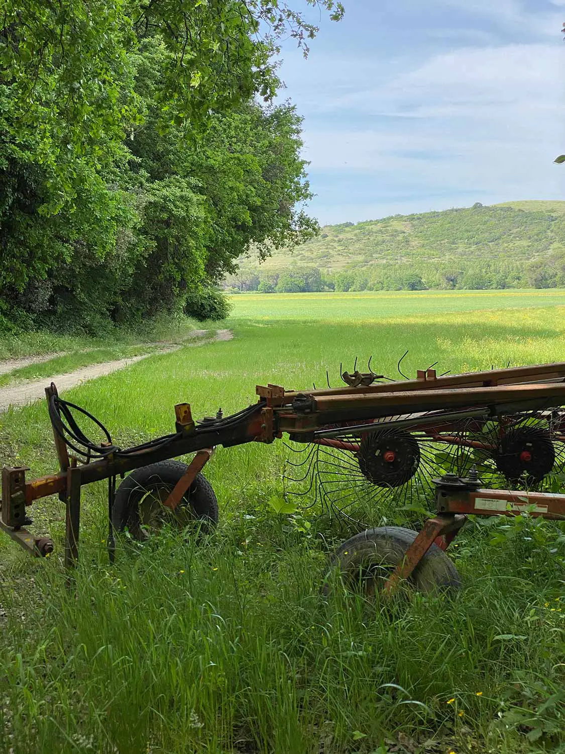 Bio Agriturismo Il Cerreto
