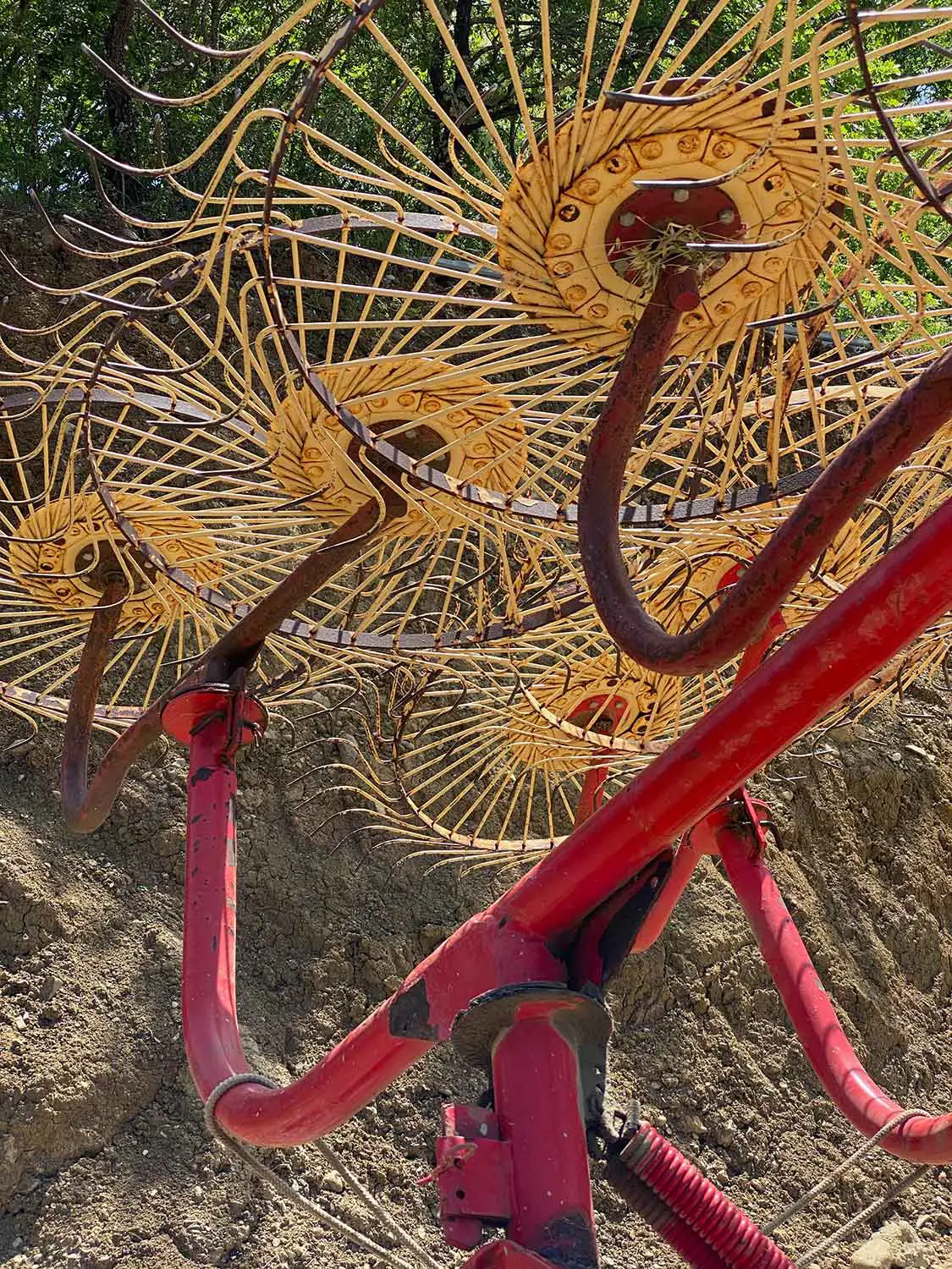 Bio Agriturismo Il Cerreto