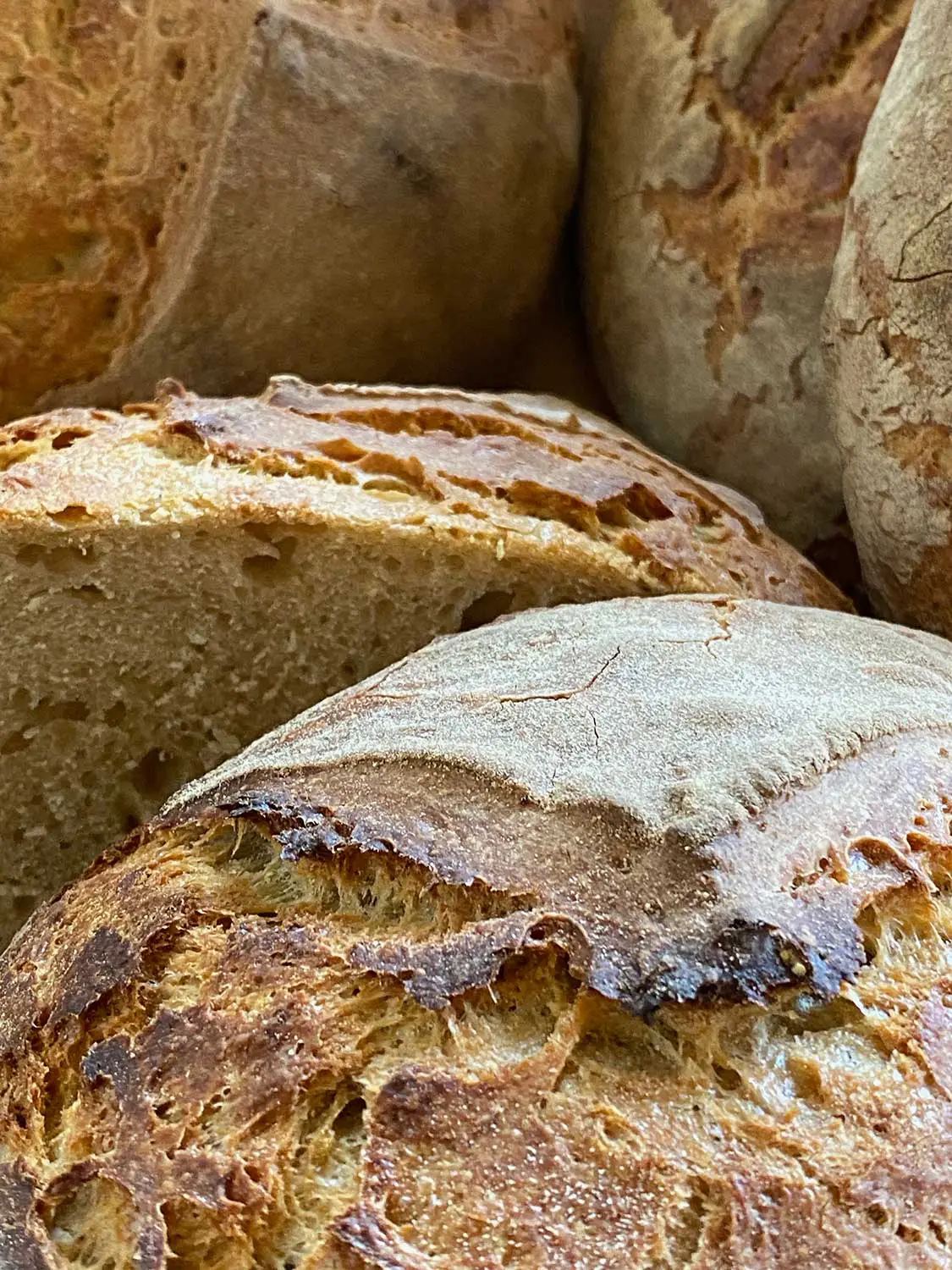 Bio Agriturismo Il Cerreto