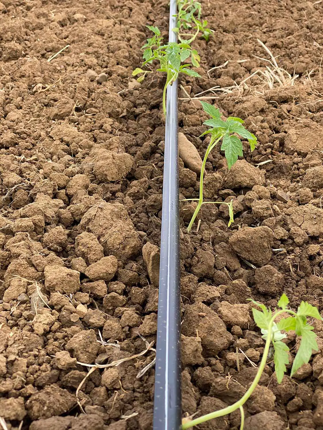 Bio Agriturismo Il Cerreto