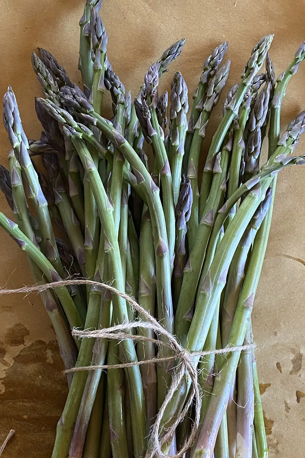 Azienda Agricola Il Cerreto