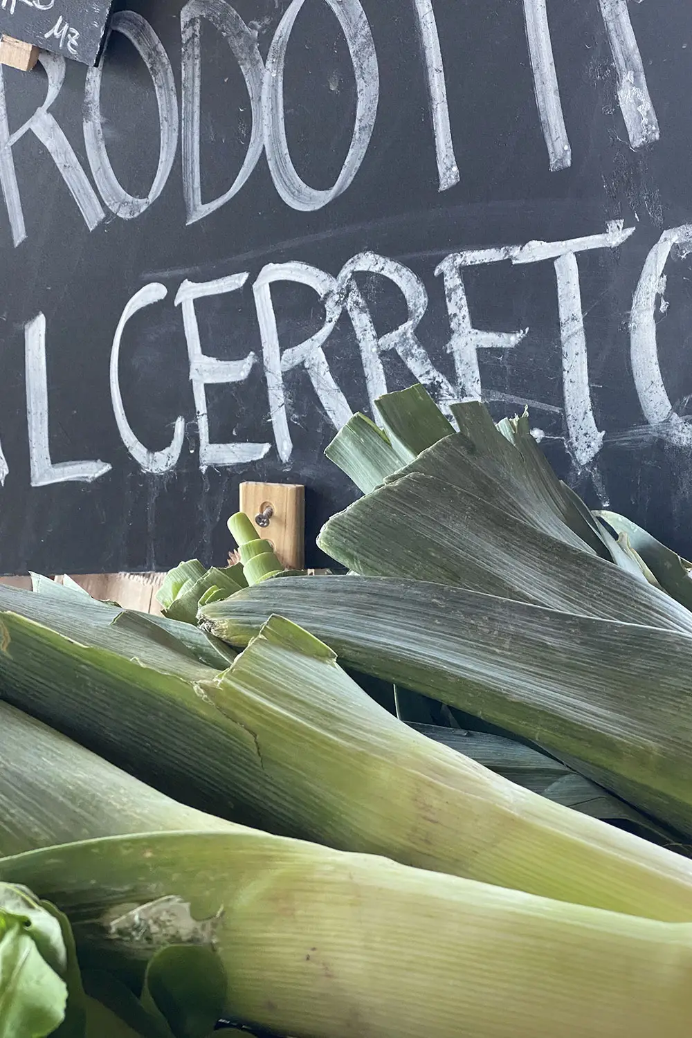 Azienda Agricola Il Cerreto