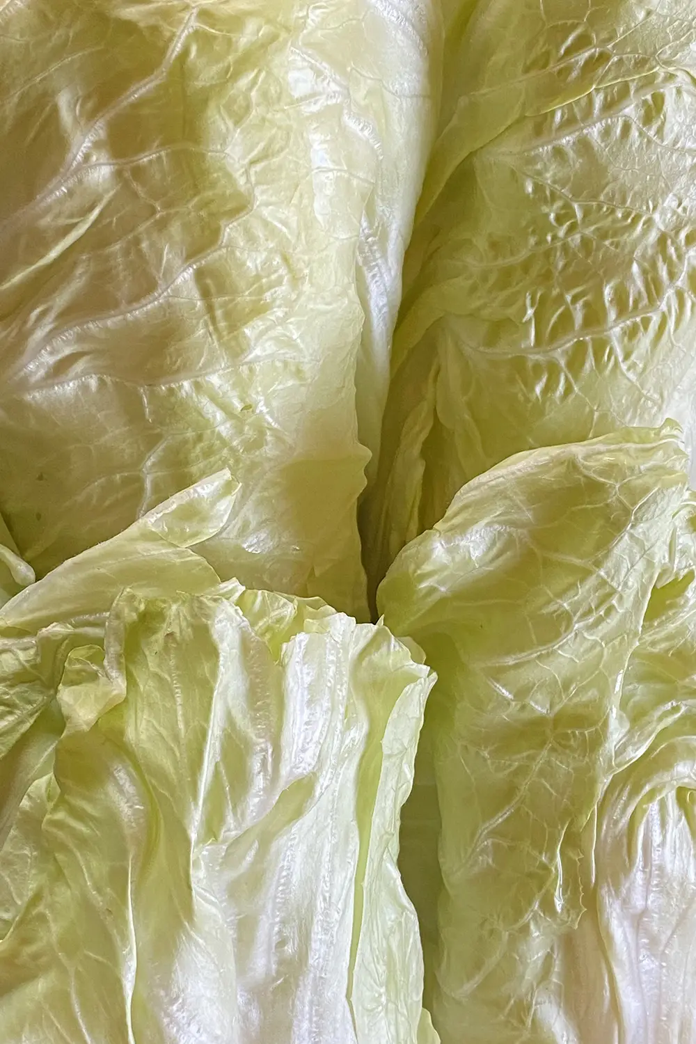 Azienda Agricola Il Cerreto