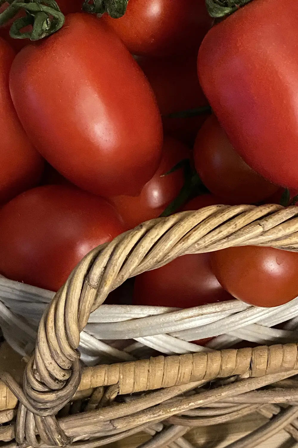 Azienda Agricola Il Cerreto