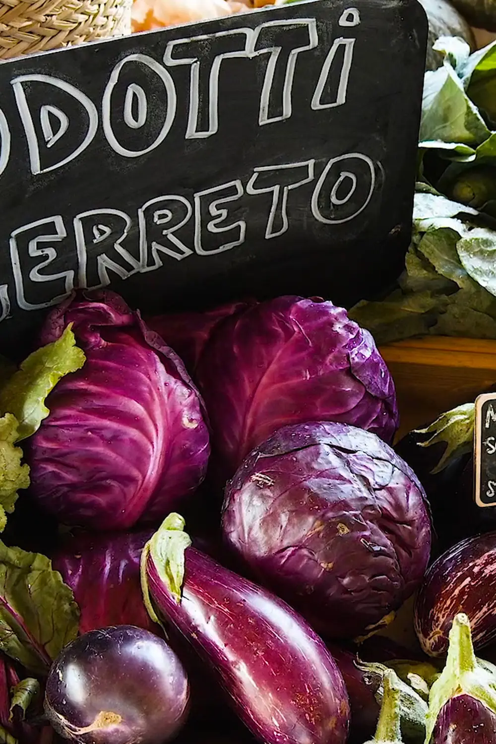 Azienda Agricola Il Cerreto