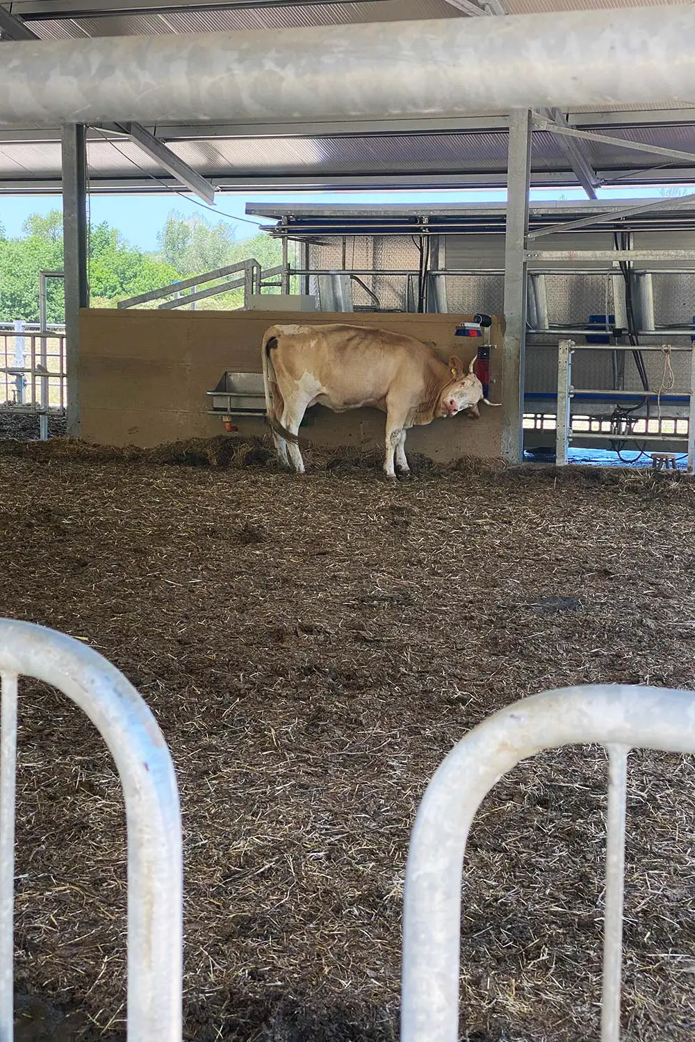 Azienda Agricola Il Cerreto