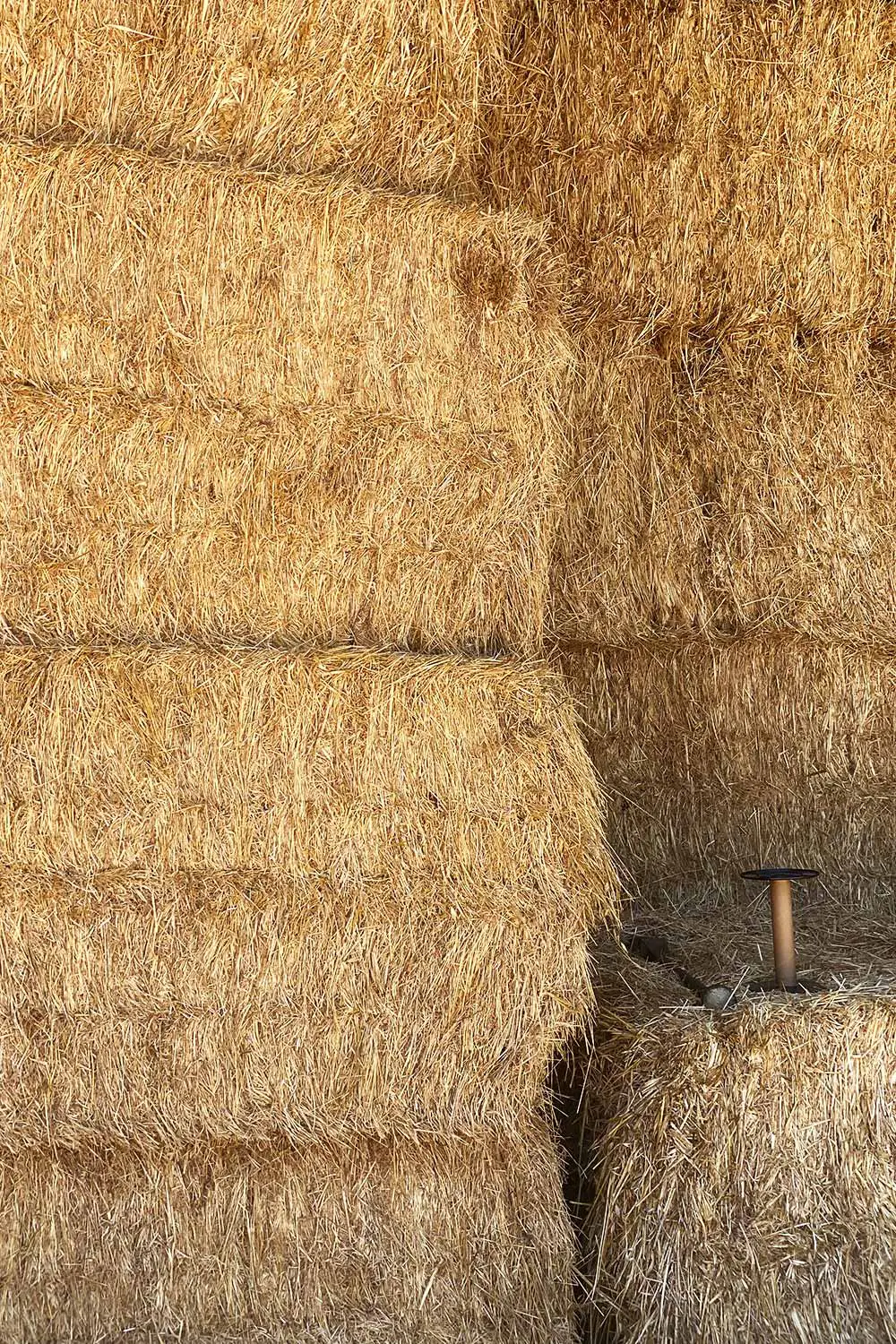 Azienda Agricola Il Cerreto