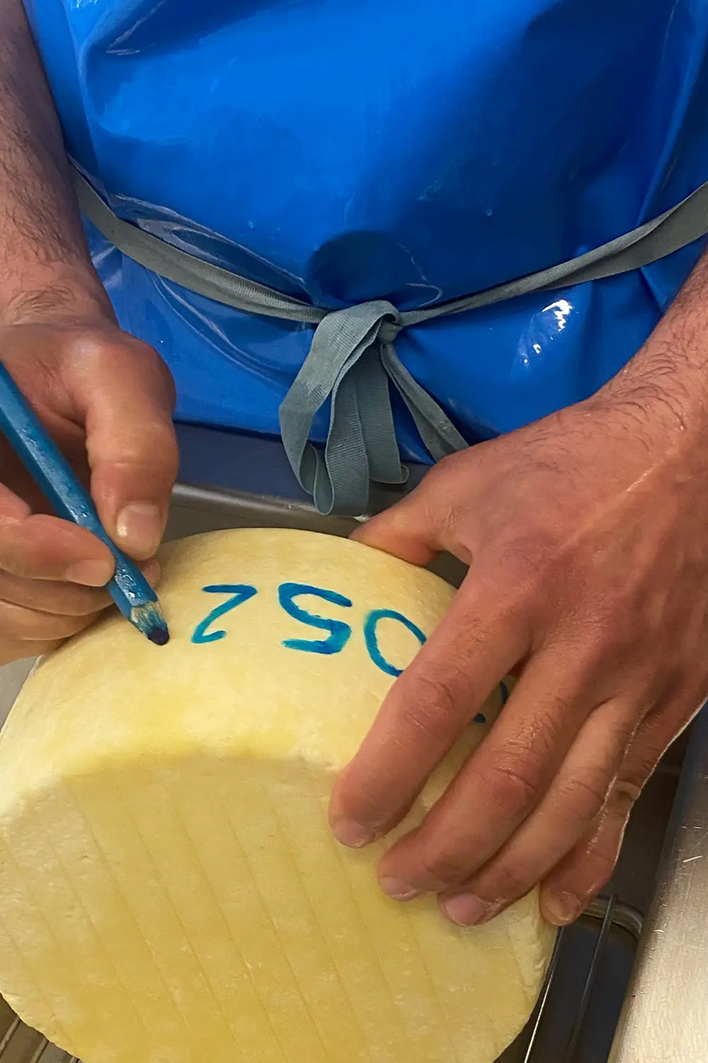 Azienda Agricola Il Cerreto