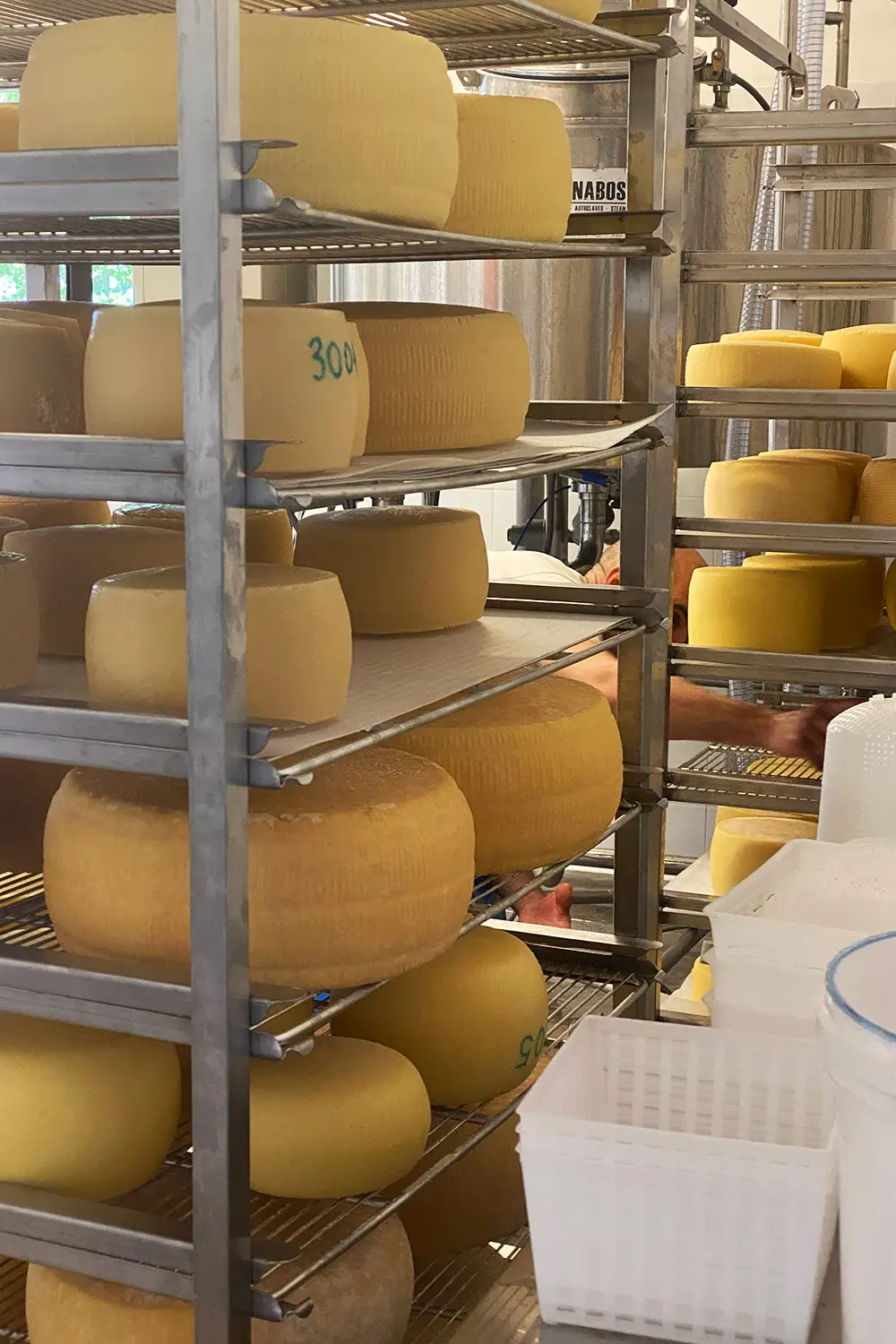 Azienda Agricola Il Cerreto