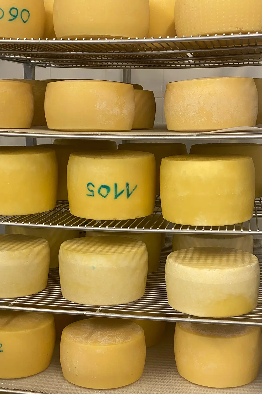 Azienda Agricola Il Cerreto