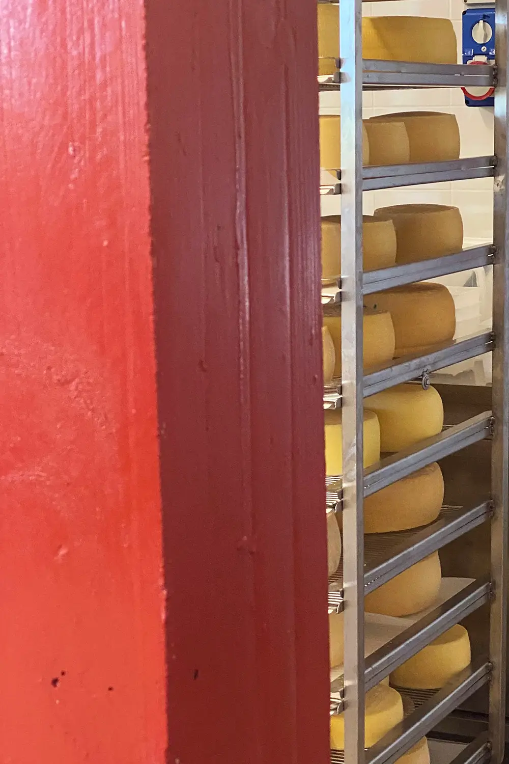 Azienda Agricola Il Cerreto