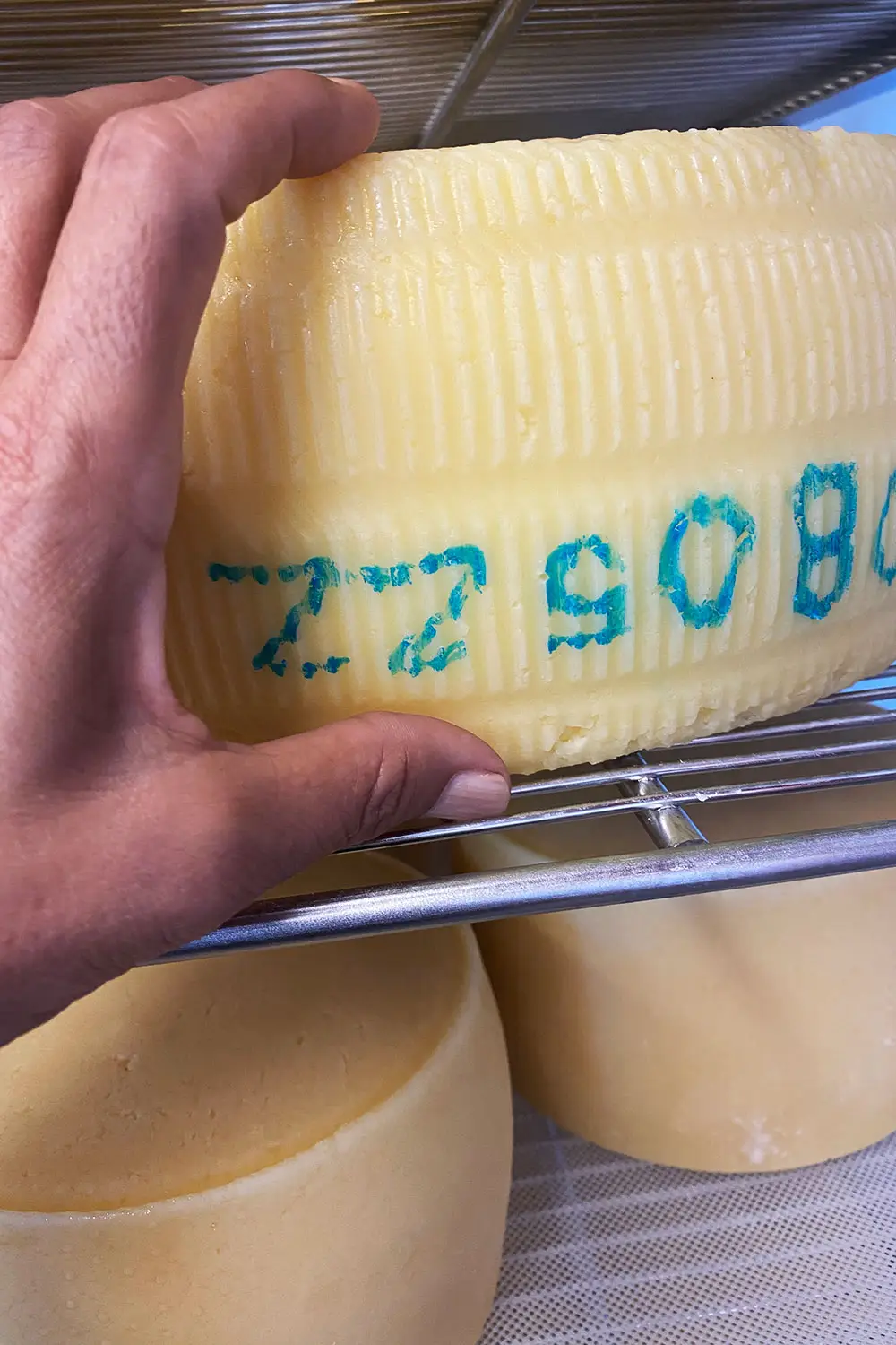 Azienda Agricola Il Cerreto