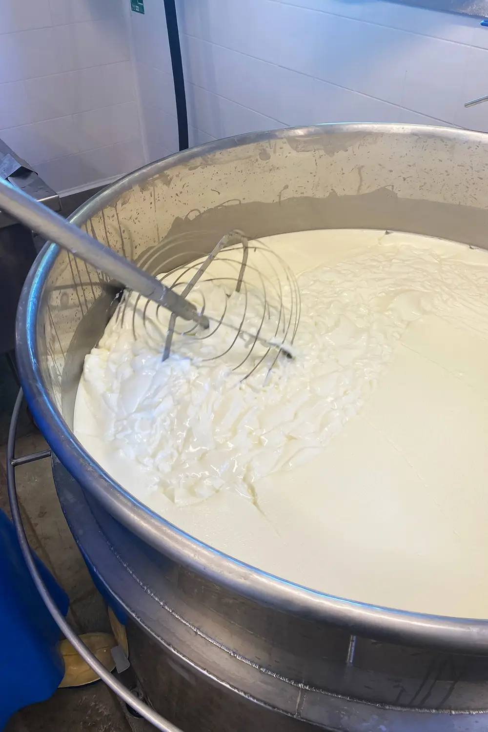 Azienda Agricola Il Cerreto