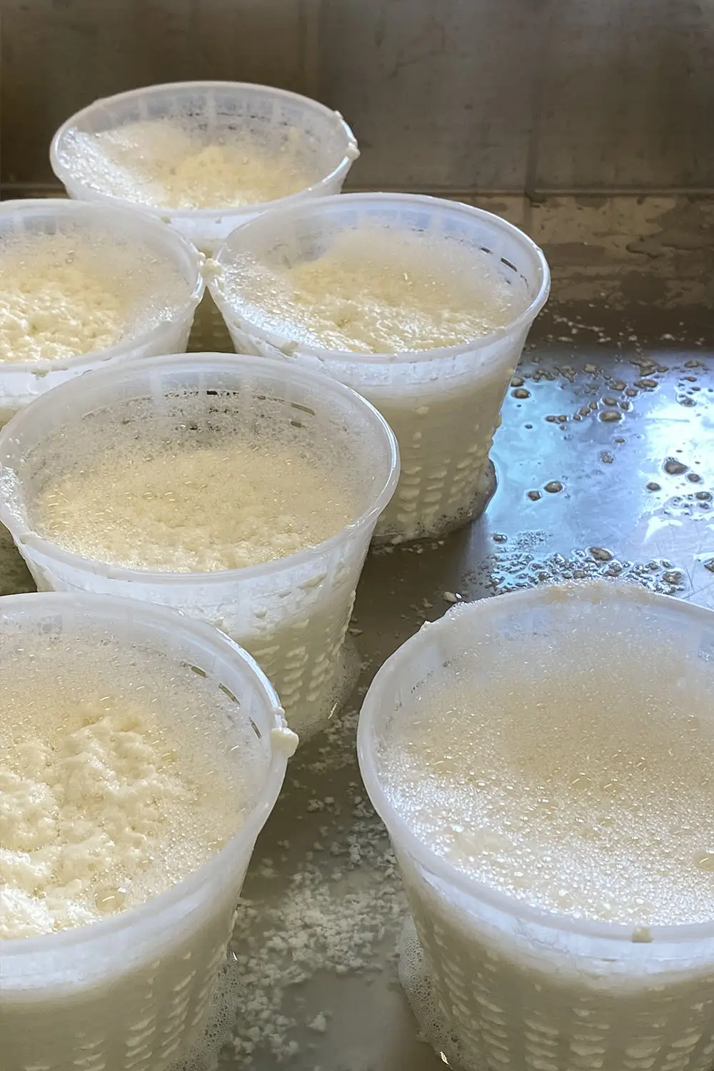 Azienda Agricola Il Cerreto