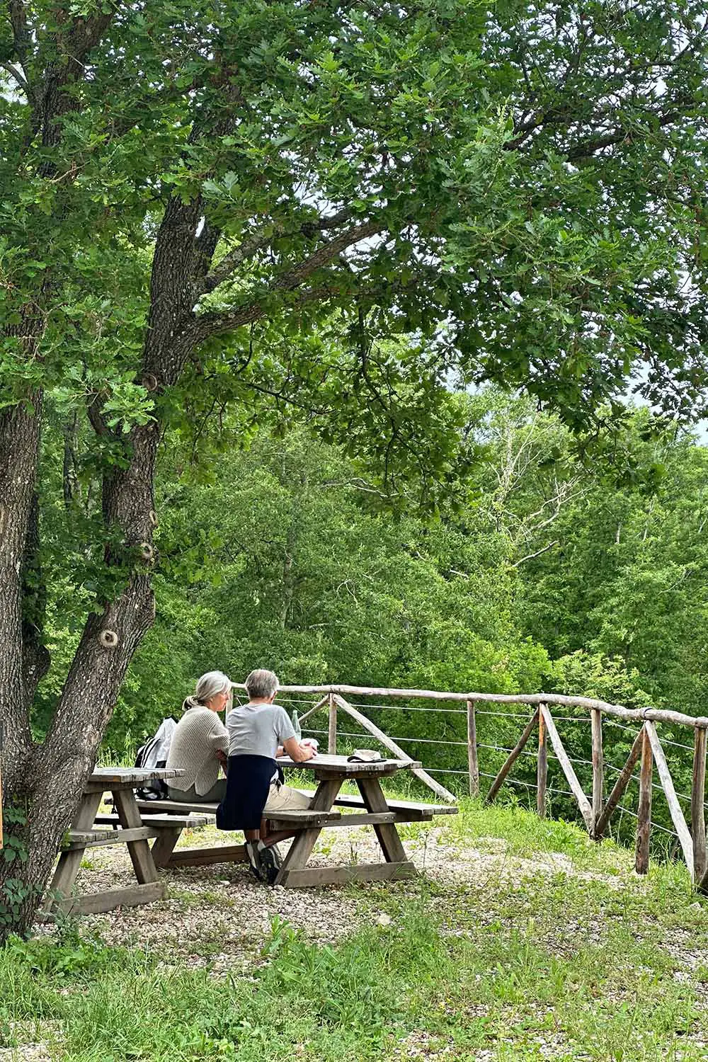 Azienda Agricola Il Cerreto