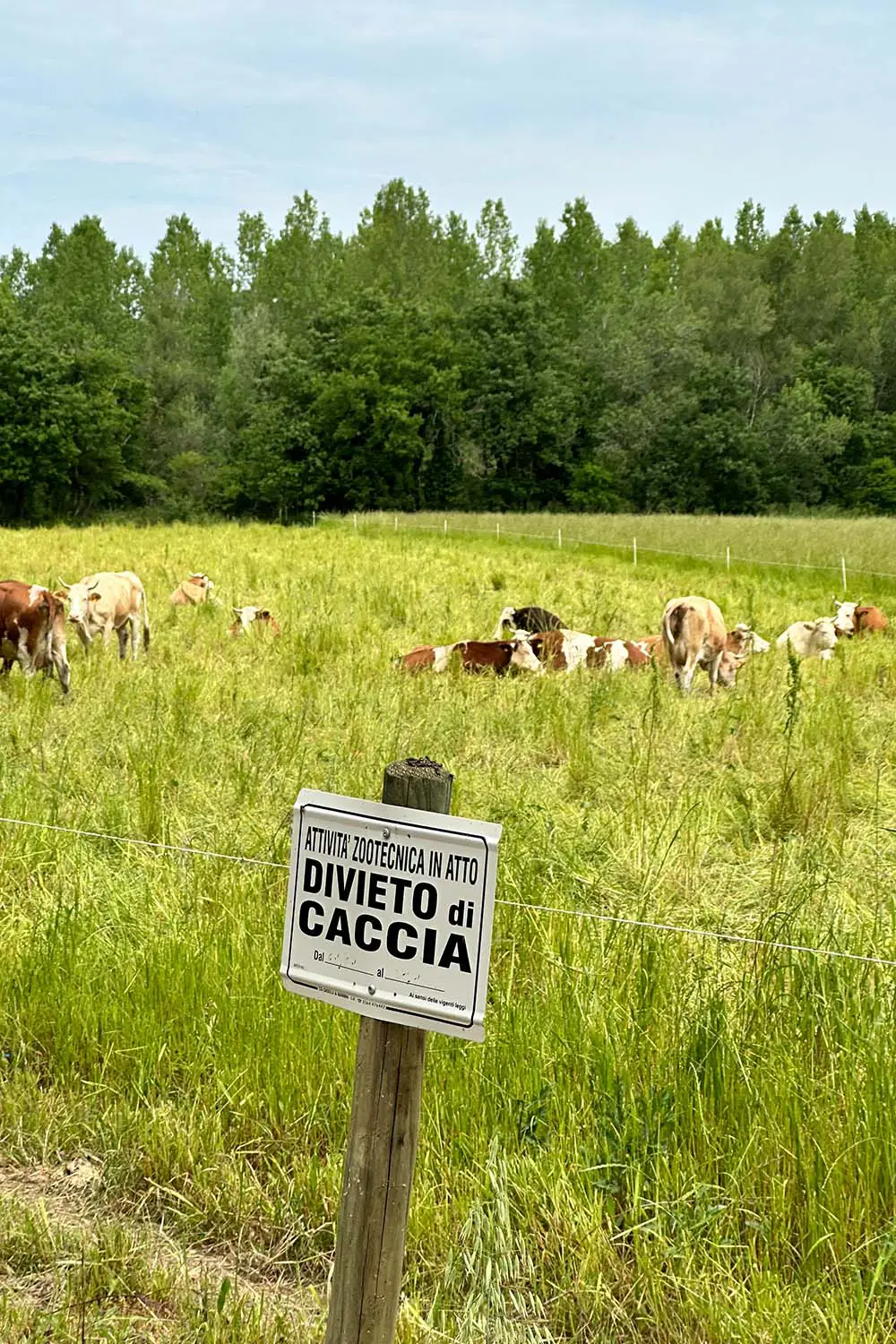 Azienda Agricola Il Cerreto