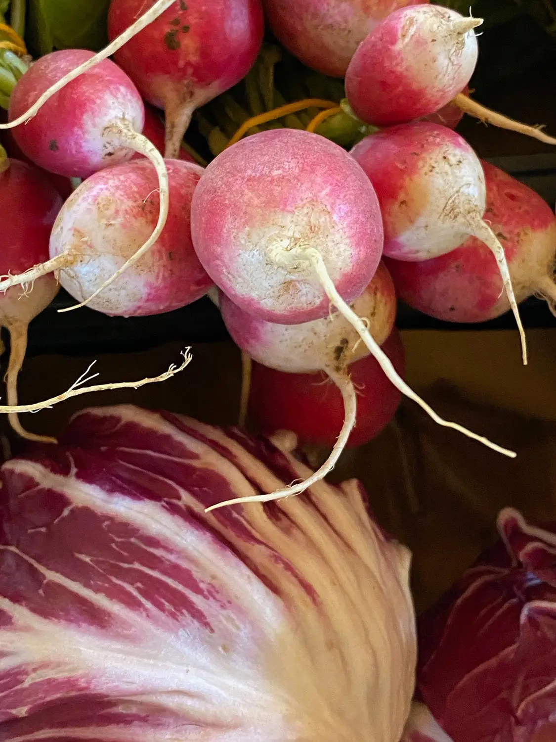 Azienda Agricola Il Cerreto