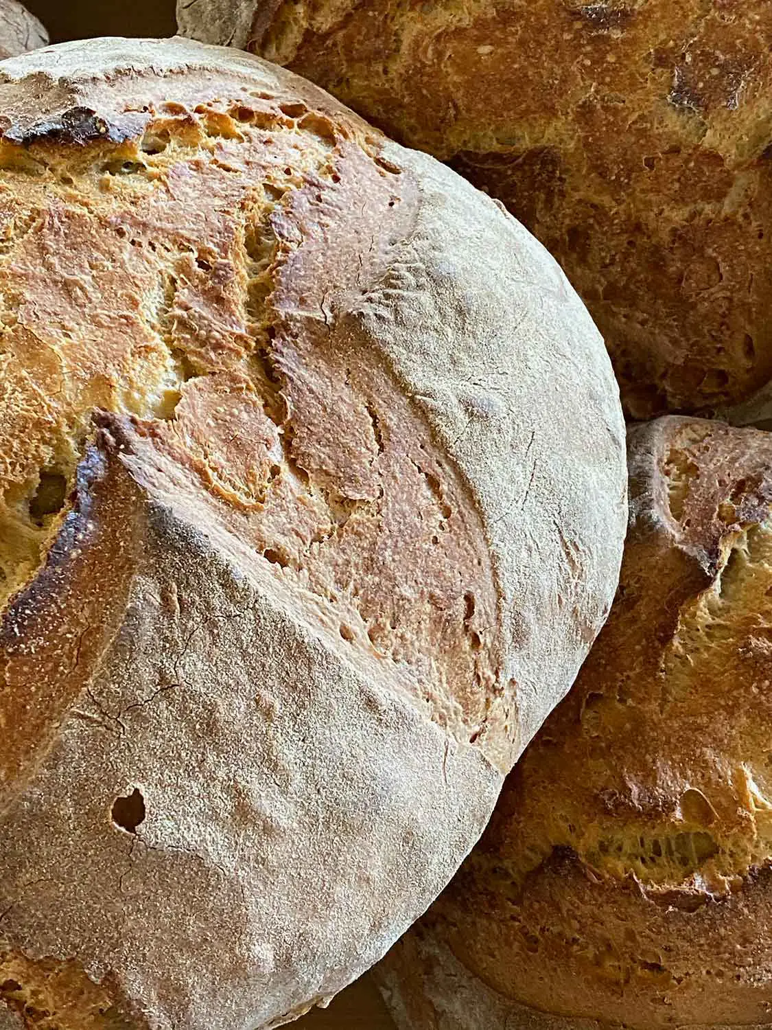 Azienda Agricola Il Cerreto