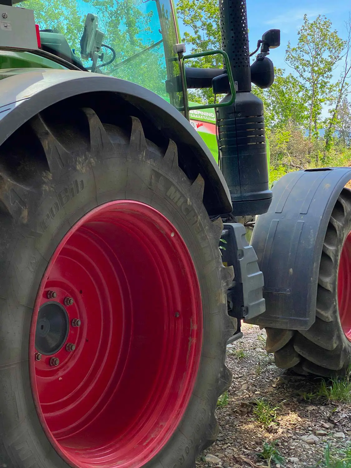 Azienda Agricola Il Cerreto