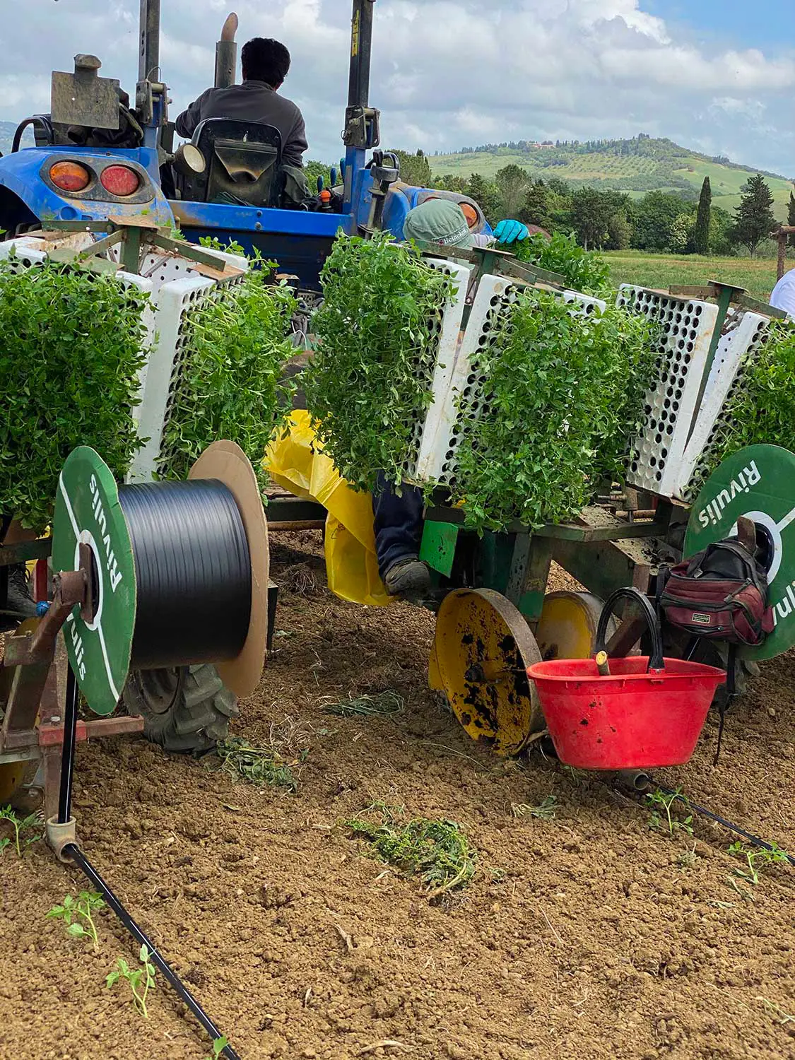 Azienda Agricola Il Cerreto
