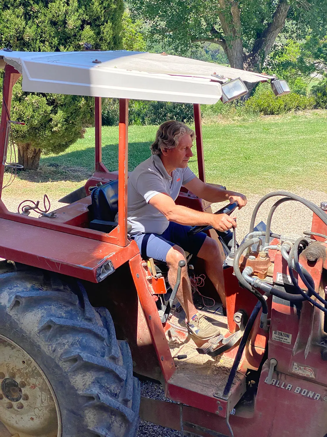 Azienda Agricola Il Cerreto