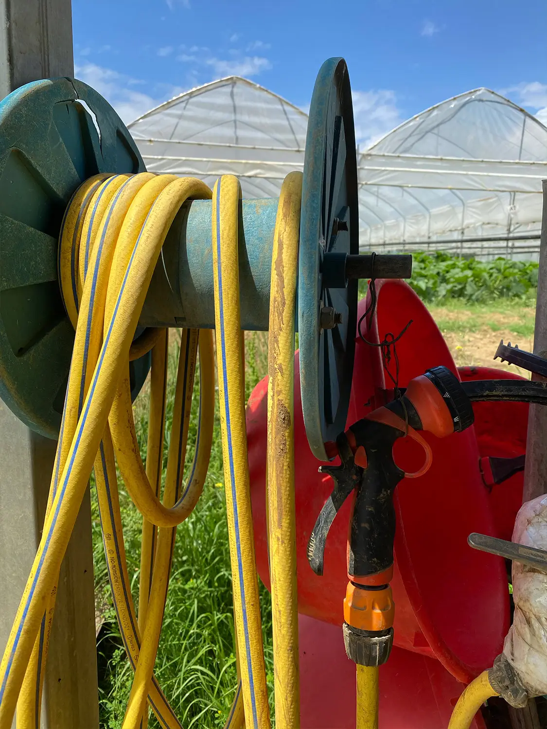 Azienda Agricola Il Cerreto