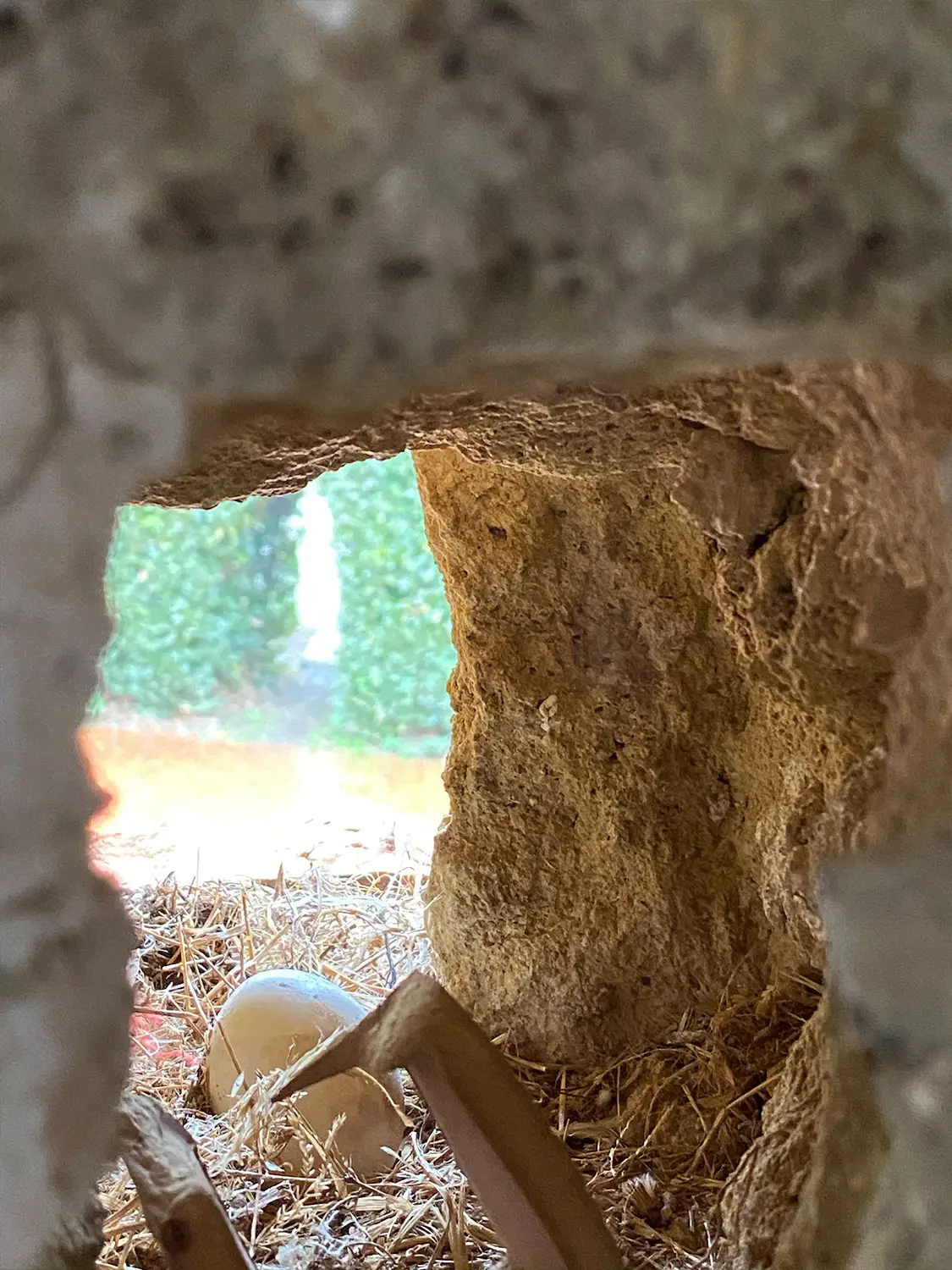 Azienda Agricola Il Cerreto