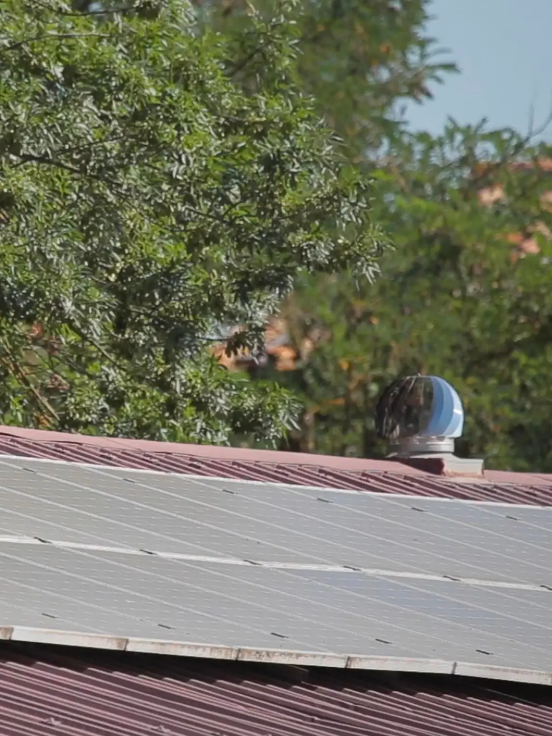 Azienda Agricola Il Cerreto