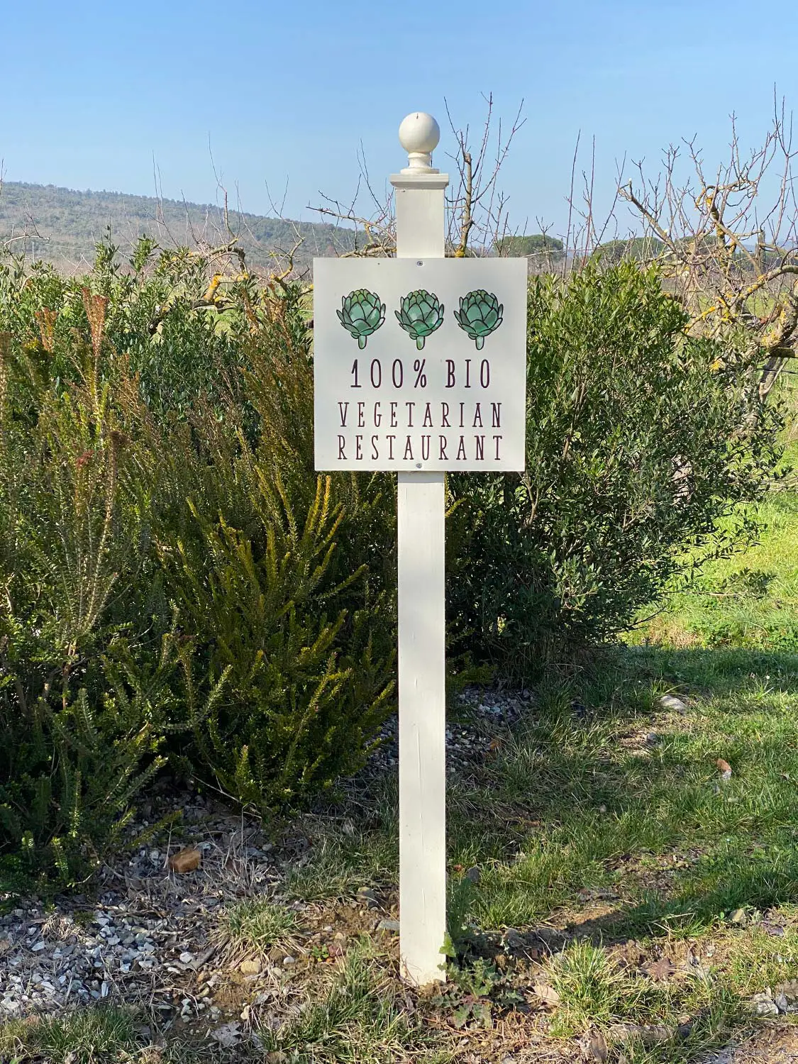 Azienda Agricola Il Cerreto