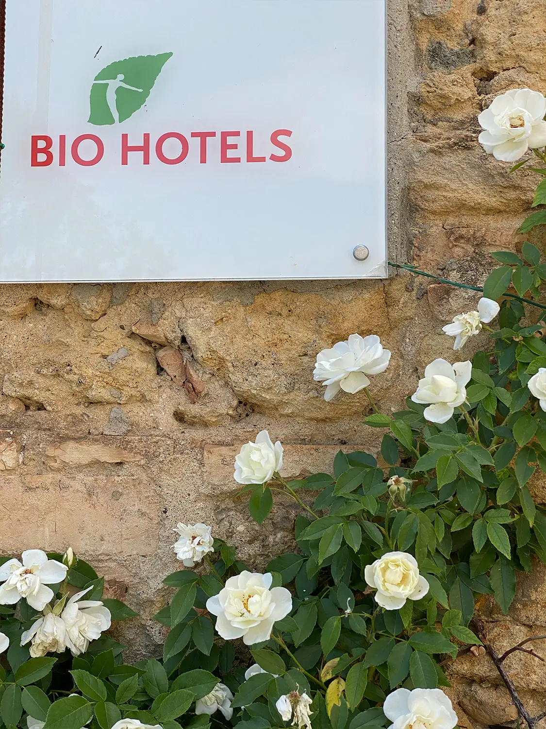 Azienda Agricola Il Cerreto